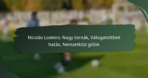 Nicolás Lodeiro: Nagy tornák, Válogatottbeli hatás, Nemzetközi gólok