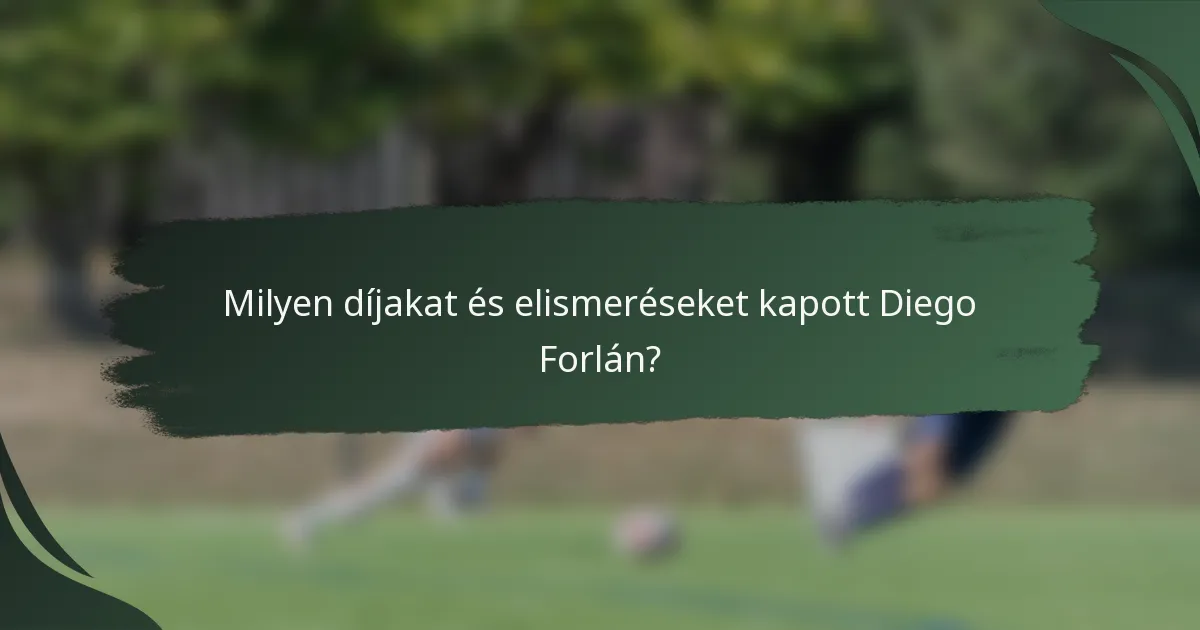 Milyen díjakat és elismeréseket kapott Diego Forlán?
